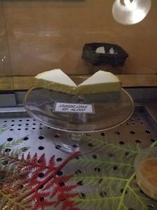 DSCF2618_R.jpg