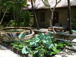 DSCF6411.JPG