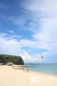 NIKKOBALI (1).jpg