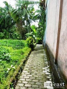 botanica (2).jpg