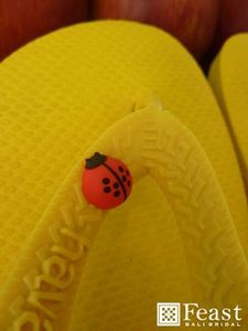 havaianas (5).jpg