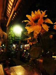 kebunbistro (7).jpg