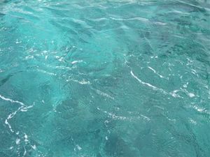 snorkeling8.jpg